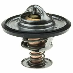 Buy ???? Stant OE Type Thermostat, Stainless Steel ????
